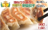 【理由あり(わけあり)】「冠生園」の食べ比べ餃子セット（冷凍　肉・野菜餃子）　180個（18個入×各5パック）