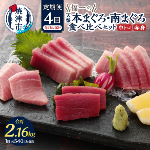 b100-071　天然本まぐろ 南まぐろ食べ比べセット 4回お届け 57134 - 静岡県焼津市