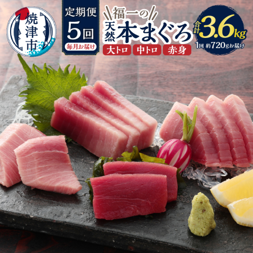 b200-036　【定期便】 天然本まぐろセット 5回届け 57145 - 静岡県焼津市