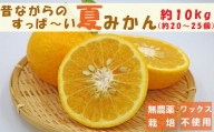 【旬の柑橘】フレッシュですっぱ～い夏みかん 約10kg　[0008-0029]
