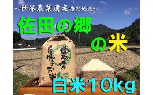B-365 佐田の郷の米 慣行栽培米 10kg 米 ブランド米 大分県産 572090 - 大分県宇佐市