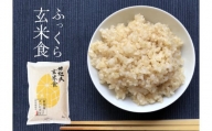 【炊飯器で普通に炊ける玄米】 ふっくら玄米食 2kg 新潟産 米杜氏 壱成 特別栽培米 1H11005