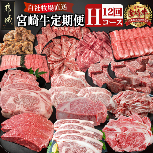 宮崎牛定期便(12回お届け) Hコース_TAI12-2501 57242 - 宮崎県都城市
