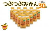 つぶつぶみかん 190g×30本 フルーツジュース ミカンジュース オレンジジュース 大分県産 九州産 津久見市 国産