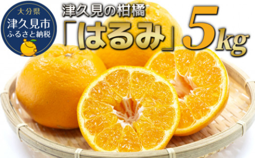 【先行予約】津久見のみかん はるみ 5kg ミカン 蜜柑 オレンジ 果実 旬のフルーツ 大分県産 九州産 津久見市 国産