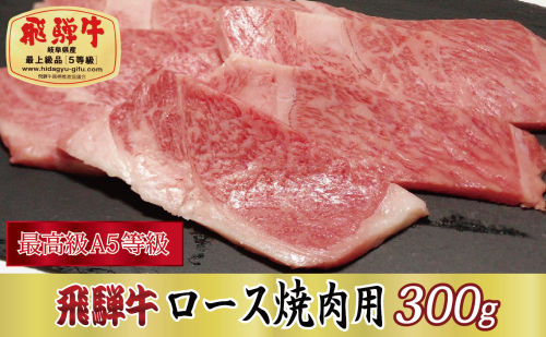 【最高級A5等級】飛騨牛ロース焼肉用300g 57352 - 岐阜県関ケ原町