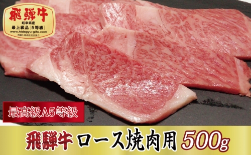 【最高級A5等級】飛騨牛ロース焼肉用500g 57353 - 岐阜県関ケ原町