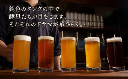 高知生まれのクラフトビール「山本麦酒」5本詰め合わせセット 573642 - 高知県南国市