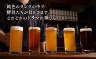 高知生まれのクラフトビール「山本麦酒」5本詰め合わせセット