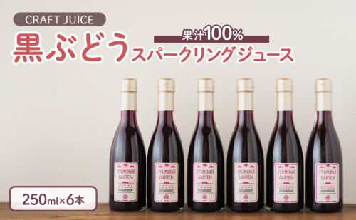黒ぶどうジュース 100％スパークリング（250ml×6本） 57398 - 長野県駒ヶ根市
