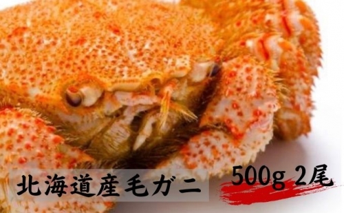 北海道産 冷凍 毛ガニ（大）約500g×2尾 574165 - 北海道えりも町 | au