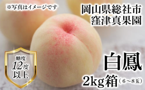 白桃「窪津真果園の白鳳(2kg箱)」岡山県総社市産【2023年産先行予約】 23-030-022 574271 - 岡山県総社市