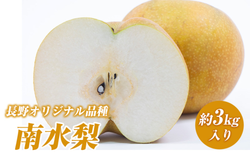 2026年産 先行予約 長野オリジナル品種 南水梨 約3kg入り 2026年発送 果物 フルーツ デザート 食後 長野県産 信州 和梨 ジューシー 硬い 新品種 シャキシャキ  574353 - 長野県長野市