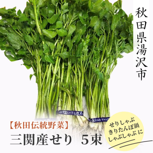 【秋田伝統野菜】三関産せり 5束 せりしゃぶ[B9916] 574421 - 秋田県湯沢市