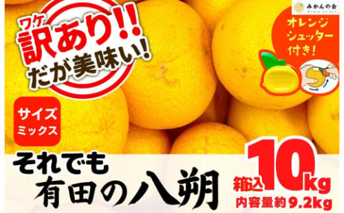 八朔 訳あり それでも 有田の八朔  (はっさく) 箱込 10kg (内容量約 9.2kg) サイズミックス B品 和歌山県産  産地直送［おまけ付き］［みかんの会］ 574504 - 和歌山県有田川町