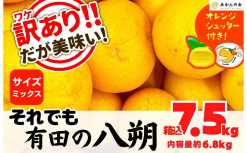 八朔 訳あり それでも 有田の八朔  (はっさく) 箱込 7.5kg (内容量約 6.8kg) サイズミックス B品 和歌山県産  産地直送［おまけ付き］［みかんの会］ 574505 - 和歌山県有田川町