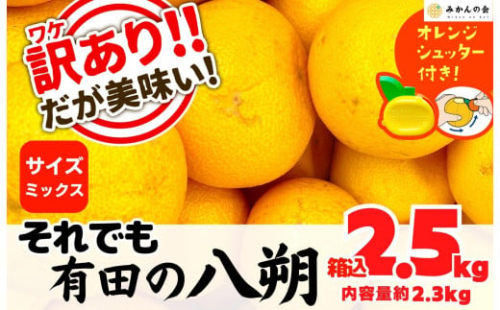 八朔 訳あり それでも 有田の八朔  (はっさく) 箱込 2.5kg (内容量約 2.3kg) サイズミックス B品 和歌山県産  産地直送［おまけ付き］［みかんの会］ 574509 - 和歌山県有田川町