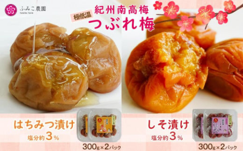 極低塩　紀州南高梅 つぶれ梅300g×4 574528 - 和歌山県有田川町