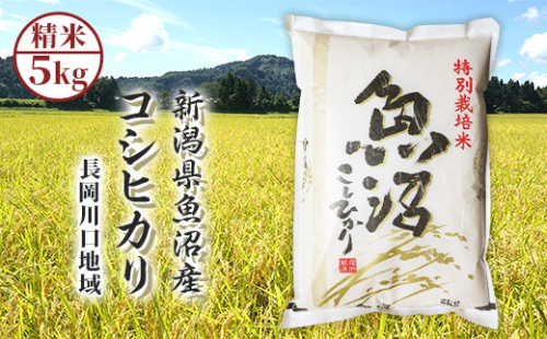 H0-T051新潟県魚沼産コシヒカリ（長岡川口地域）5kg 574616 - 新潟県長岡市