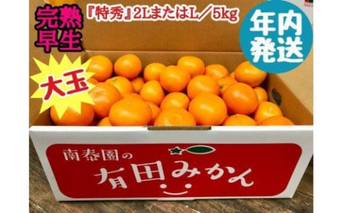 年内発送 完熟早生 有田みかん 大玉 特秀 2L または L サイズ 5kg 和歌山 南泰園 574653 - 和歌山県有田川町