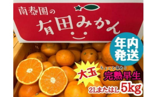 年内発送 ちょっと 傷あり 完熟早生 有田みかん 大玉 2L または L サイズ 5kg 和歌山 南泰園 574673 - 和歌山県有田川町