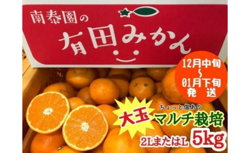 ちょっと 傷あり マルチ栽培 有田 みかん 大玉 2L または L サイズ 5kg 南泰園 574679 - 和歌山県有田川町