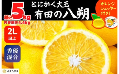 八朔 (はっさく) とにかく 大玉 どっこいしょ 箱込 5kg (内容量約 4.4kg) 秀品 優品 混合 2Lサイズ以上 和歌山県産  産地直送［おまけ付き］［みかんの会］ 574689 - 和歌山県有田川町