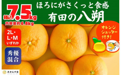 八朔 (はっさく) 玉ぞろい 箱込 7.5kg(内容量約 6.8kg) 2L L Mサイズのいずれか 秀品 優品 混合 和歌山県産  産地直送［おまけ付き］［みかんの会］ 574690 - 和歌山県有田川町