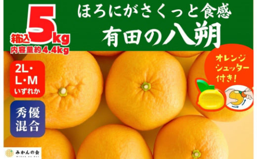 八朔 (はっさく) 玉ぞろい 箱込 5kg(内容量約 4.4kg) 2L L Mサイズのいずれか  秀品 優品 混合 和歌山県産  産地直送［おまけ付き］［みかんの会］ 574691 - 和歌山県有田川町