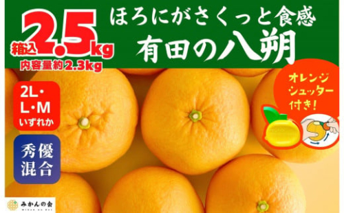 八朔 (はっさく)  玉ぞろい 箱込 2.5kg(内容量約 2.3kg) 2L L Mサイズのいずれか 秀品 優品 混合和歌山県産  産地直送［おまけ付き］［みかんの会］ 574692 - 和歌山県有田川町