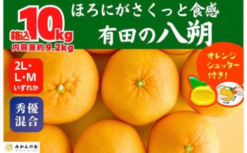 八朔 (はっさく) 玉ぞろい 箱込 10kg(内容量約 9.2kg) 2L L Mサイズのいずれか 秀品 優品 混合和歌山県産  産地直送［おまけ付き］［みかんの会］ 574693 - 和歌山県有田川町