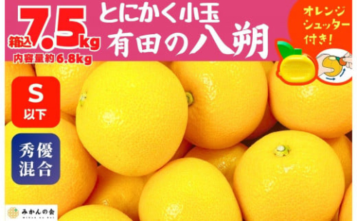 八朔 (はっさく) とにかく 小玉 箱込 7.5kg(内容量約 6.8kg) 秀品 優品 混合 Sサイズ以下 和歌山県産  産地直送［おまけ付き］［みかんの会］ 574695 - 和歌山県有田川町