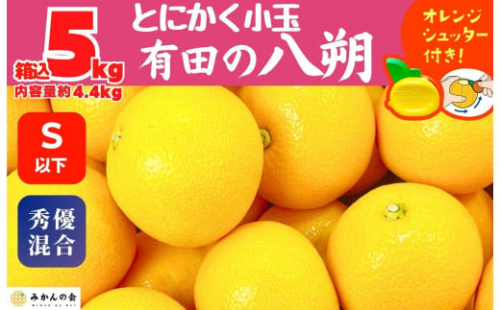 八朔 (はっさく) とにかく 小玉 箱込 5kg(内容量約 4.4kg) 秀品 優品 混合 Sサイズ以下 和歌山県産  産地直送［おまけ付き］［みかんの会］ 574696 - 和歌山県有田川町