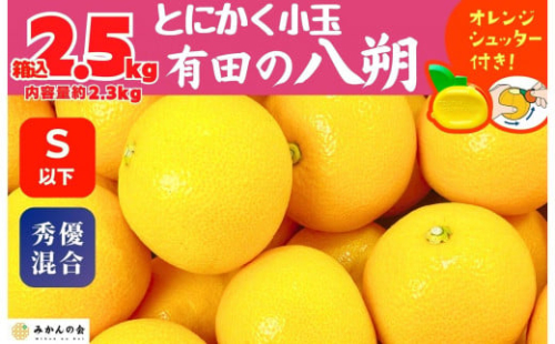 八朔 (はっさく) とにかく 小玉 箱込 2.5kg(内容量約 2.3kg) 秀品 優品 混合 Sサイズ以下 和歌山県産  産地直送［おまけ付き］［みかんの会］ 574697 - 和歌山県有田川町