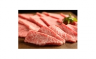 神戸牛　焼肉食べ比べセット(ロース・ばら400g/もも400g)+こてっちゃん 　＜お肉博士監修＞【1355418】