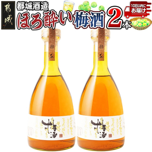 都城酒造 ほろ酔い梅酒2本≪みやこんじょ特急便≫_AO-6701 575437 - 宮崎県都城市