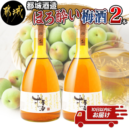 都城酒造 ほろ酔い梅酒2本≪みやこんじょ特急便≫_AO-6701 575437 - 宮崎県都城市