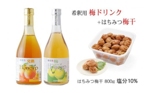 希釈用梅ドリンクとはちみつ梅干のセット 575486 - 和歌山県上富田町