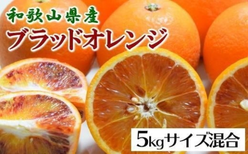 ［希少・高級柑橘］国産濃厚ブラッドオレンジ「タロッコ種」約5kg★2026年4月頃より順次発送予定［TM149］ 575608 - 和歌山県上富田町