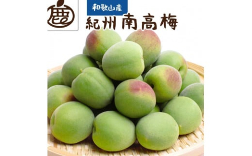 厳選 紀州南高梅(青梅)1kg+250g（傷み補償分）【梅干し・梅酒・梅ジュース】［IKE216］ 575674 - 和歌山県上富田町