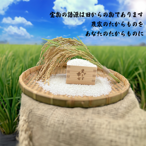 【新米先行受付】【令和6年度産】【10月下旬より順次発送予定】奈良県広陵町産ヒノヒカリ　約4.5kg ×2／ お米 ひのひかり 奈良県