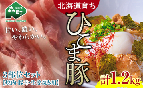 【北海道育ち ひこま豚】3部位セット1.2kg 焼肉・豚丼・生姜焼き用 ＜酒仙合縁 百将＞ 森町 豚肉 焼肉 豚丼 生姜焼き 北海道産 セット ふるさと納税 北海道 mr1-0329 576222 - 北海道森町