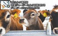 ジャージー牛 A2ミルク 200ml×10本【ARVO】 北海道 オホーツク 佐呂間町 ドリンク 牛乳 ミルク 乳飲料 乳製品
