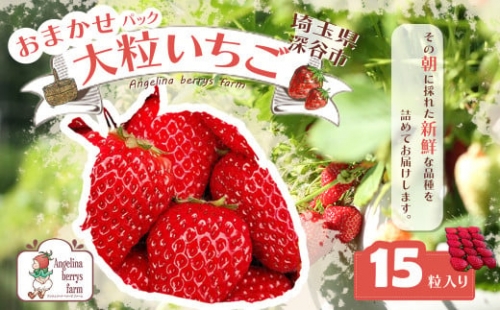Angelina berrys farｍ　15粒入おまかせ大粒いちご　【11218-0297】