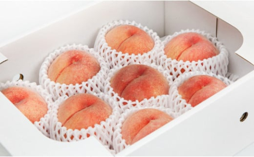 08-06-002　もも(8月おすすめの桃)大玉約3kg