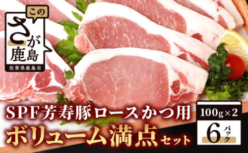 【SPF芳寿豚 豚ロース肉】SPF芳寿豚ロースかつ用ボリューム満点セット(スパイス小袋入り)【合計1.2kg】【真空パック・小分けで便利】【簡単調理】 B-526 576396 - 佐賀県鹿島市