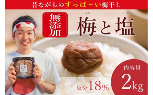 【大容量・常温保管可能 】ミネラル豊かな天日塩だけで漬けた無添加梅干し2kg/南高梅 B201 576606 - 和歌山県みなべ町