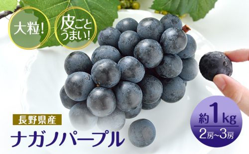 2026年産先行予約ぶどう 先行予約 長野市産 ナガノパープル 皮ごとうまい！ 大粒2～3房 約1kg 果物 ブドウ 葡萄 フルーツ デザート おやつ 種なし 大粒 信州  576684 - 長野県長野市