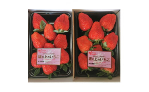 山梨県産坂の上のいちご280g×2【1367897】 576742 - 山梨県山梨市