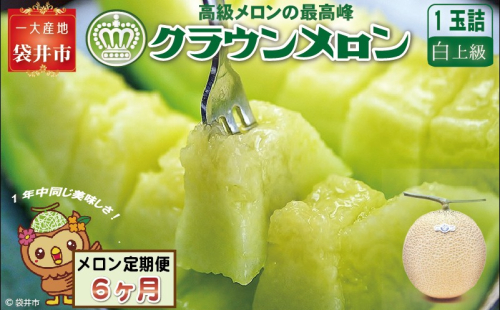 【６ヶ月定期便】クラウンメロン（白上級）１玉入  57713 - 静岡県袋井市